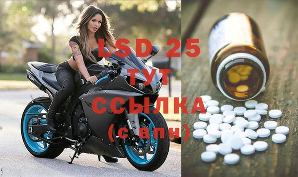 дмт Алзамай