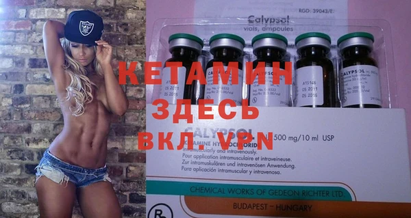гашик Алексеевка