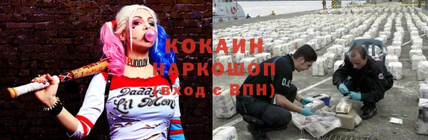 гашик Алексеевка