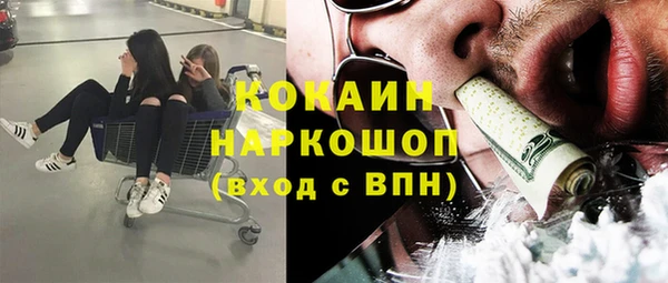 стаф Алексин
