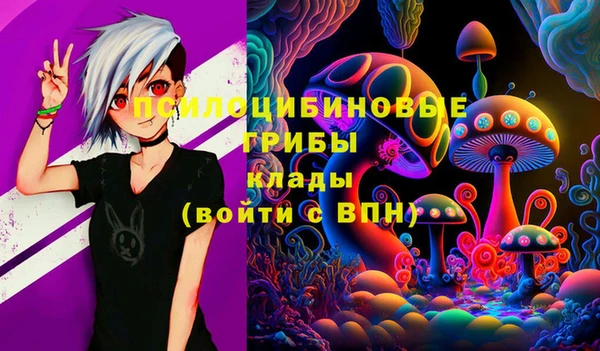 стаф Алексин
