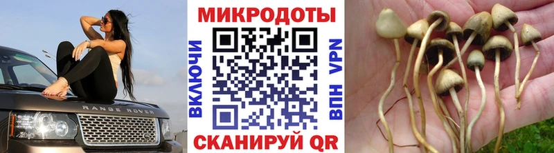 ссылка на мегу маркетплейс  Сухой Лог  Псилоцибиновые грибы мицелий 